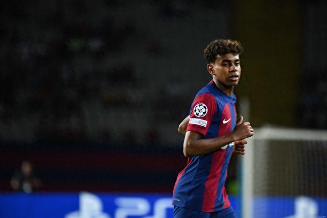 度濒危的鹦 度濒危的鹦